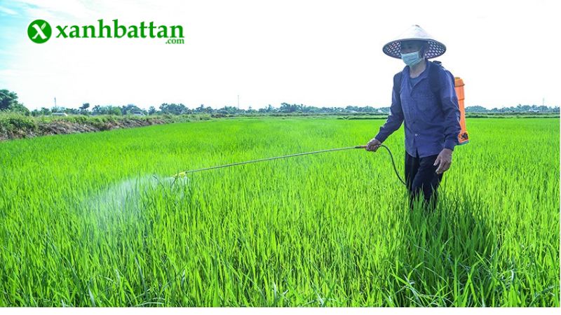 Hướng dẫn cách sử dụng và bảo quản sản phẩm thuốc trừ sâu, trừ rầy Map Jono 700WP
