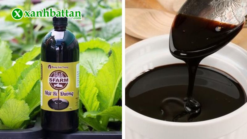 Mật rỉ đường Sfarm là gì?