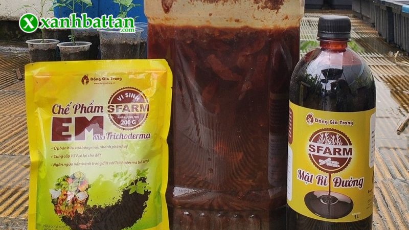 Hướng dẫn cách sử dụng, bảo quản mật rỉ đường Sfarm