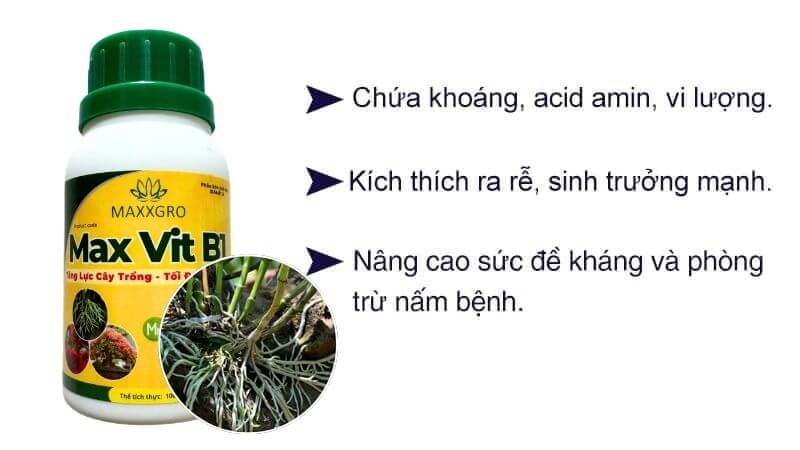 Phân bón max vitamin b1 dòng phân bón vi lượng chuyên dành cho lan