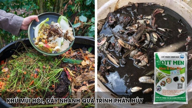 Men ủ phân bón tott men đẩy nhanh quá trình ủ, khử mùi hôi