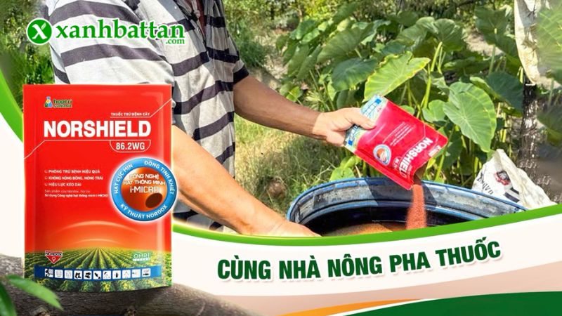 Hướng dẫn cách sử dụng và bảo quản sản phẩm Norshield 86.2 WG Hợp Trí