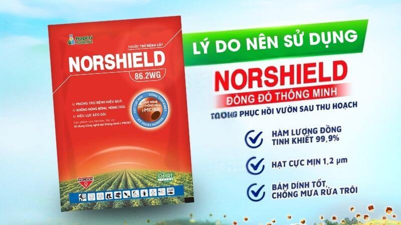 Thuốc trừ nấm đồng đỏ norshield
