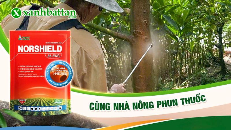 Thuốc trừ nấm bệnh gốc đồng Norshield 86.2 WG Hợp Trí  là gì?