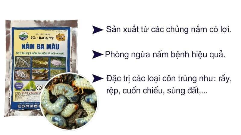 Nam-3-Mau-Thuy-Kinh-Sinh-Nam-Xanh-Nam-Trang-Nam-Tim-4.jpg?v=1775640797