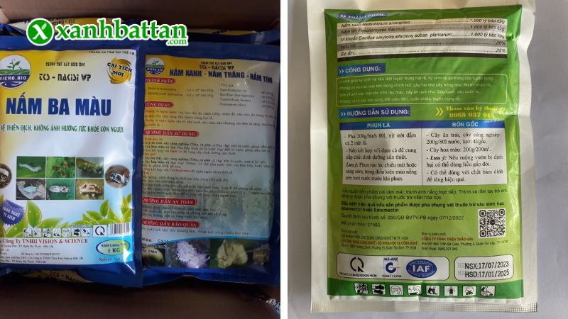 Nấm 3 màu thuỷ kinh sinh - Nấm xanh, trắng, tím là gì?