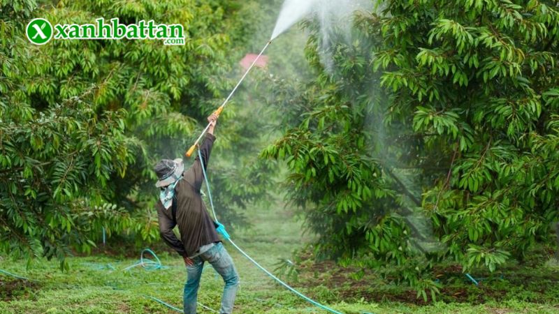 Hướng dẫn cách sử dụng và bảo quản sản phẩm trừ sâu sinh học Neem Chili