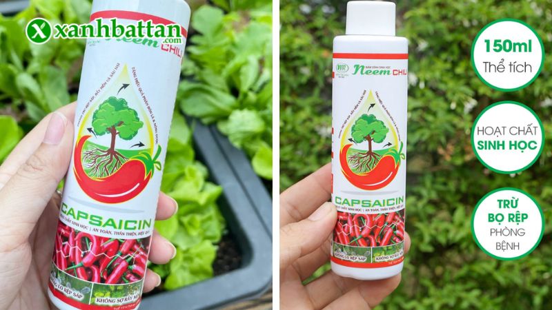 Thuốc trừ sâu sinh học Neem Chili là gì?