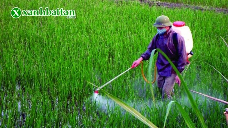 Hướng dẫn cách sử dụng và bảo quản sản phẩm