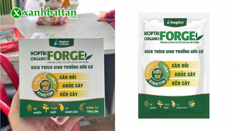 Phân bón ORGANO FORGE HỢP TRÍ - Kích rễ, đâm tược, bông to là gì?