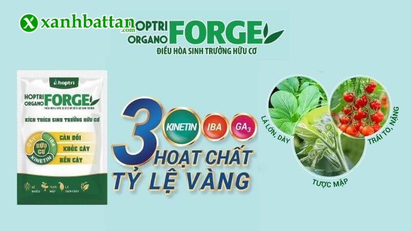 Hướng dẫn cách sử dụng, bảo quản phân bón ORGANO FORGE HỢP TRÍ
