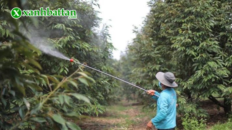 Hướng dẫn cách sử dụng, bảo quản Phân bón vi lượng Combi USA