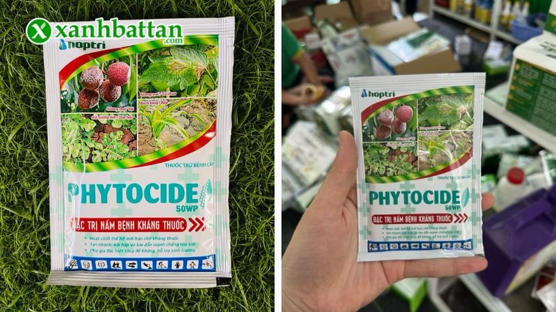 Thuốc đặc trị nấm bệnh Phytocide 50WP Hợp Trí là gì?