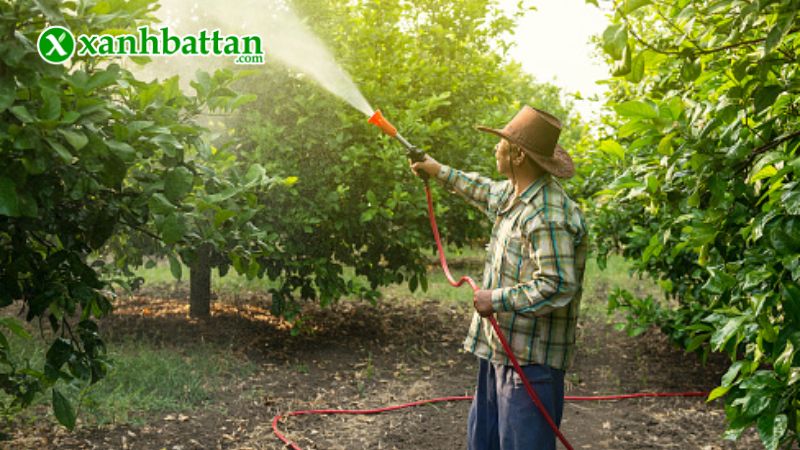 Hướng dẫn cách sử dụng và bảo quản sản phẩm Phytocide 50WP Hợp Trí