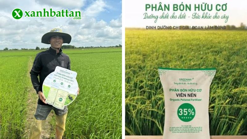 Phân bò viên nén Greenma là gì?