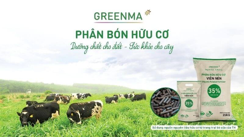 Phân bò hữu cơ viên nén tan chậm cho cây trồng