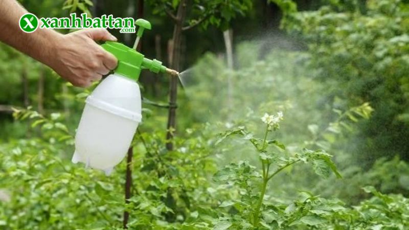 Hướng dẫn cách sử dụng, bảo quản phân bón dinh dưỡng Combi 7-7-7