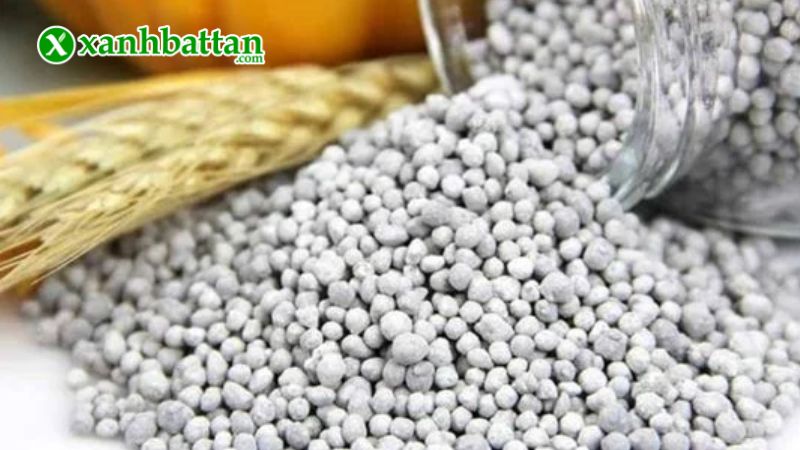 Phân bón DAP - Chuyên dùng cho rau sạch, hoa kiểng là gì?