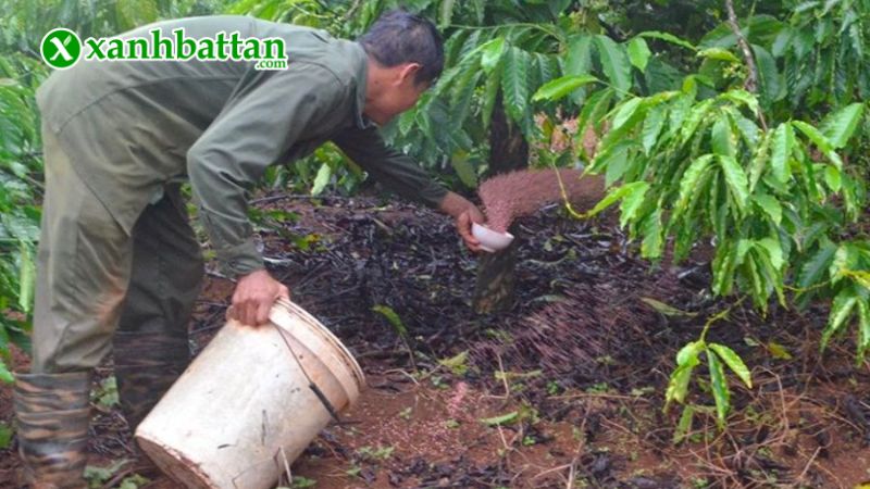 Hướng dẫn cách sử dụng, bảo quản phân bón hữu cơ đạm cá Hồi dạng viên