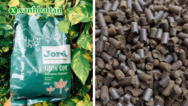 Phân bón hữu cơ Jord Nauy Savia 69%OM làm từ cá Hồi là gì?
