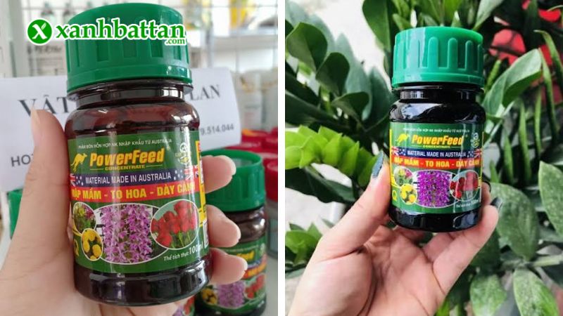 Phân bón hữu cơ Powerfeed - Mập mầm, to hoa, dày cành là gì?