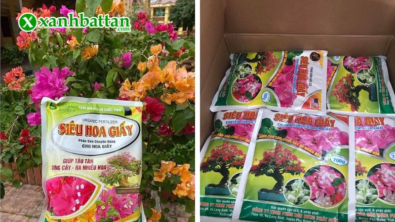 Hướng dẫn cách sử dụng, bảo quản phân bón siêu hoa Giấy
