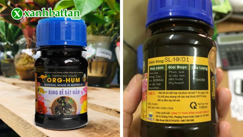 Phân bón Org Hum - Bung rễ, bật mầm là gì?