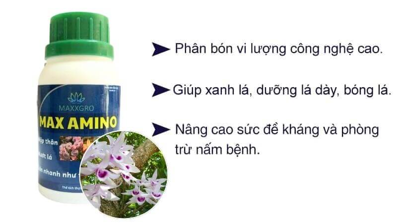 Phân bón vi lượng chiết xuất đạm cá max amino