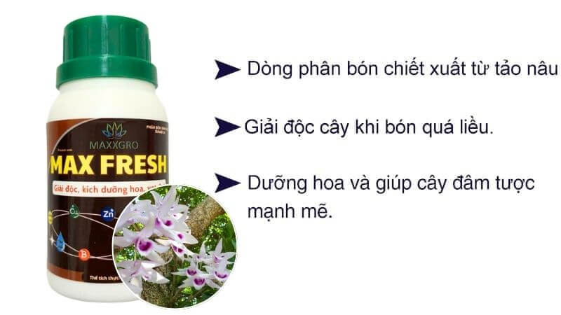 Phân bón max fresh giải độc cây trồng
