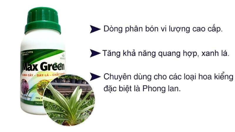 Phân bón vi lượng max green giúp dưỡng xanh lá dày lá, chống vàng lá