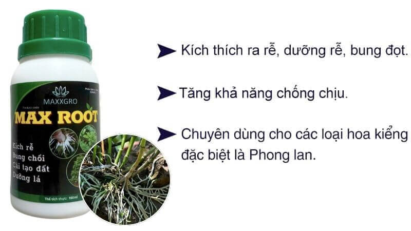 Phân bón max root chuyên kích rễ cây trồng