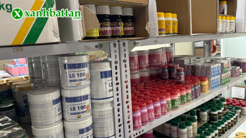 Xanh Bất Tận - Địa chỉ mua phân bón chăm sóc cây giá tốt tại TP.HCM?