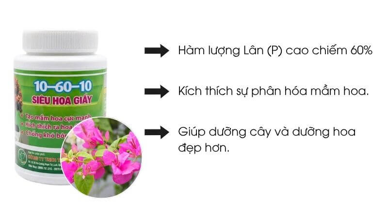 Phân bón siêu hoa gấy 10-60-10