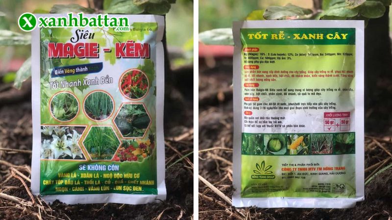 Phân bón siêu Magie kẽm biến vàng thành xanh là gì?
