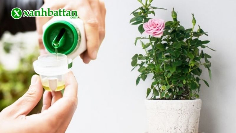 Hướng dẫn cách sử dụng, bảo quản phân bón vi lượng EDTA