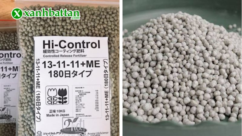 Phân chì Nhật Bản 13-11-11+ME tan chậm là gì?