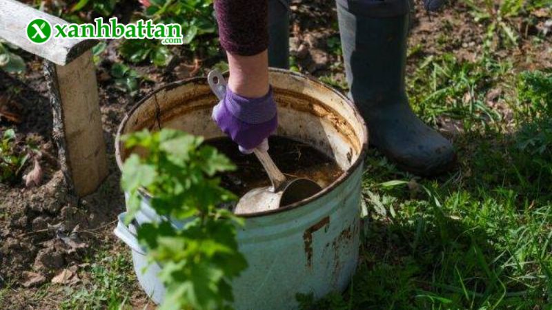 Hướng dẫn cách sử dụng, bảo quản phân đạm cá cô đặc