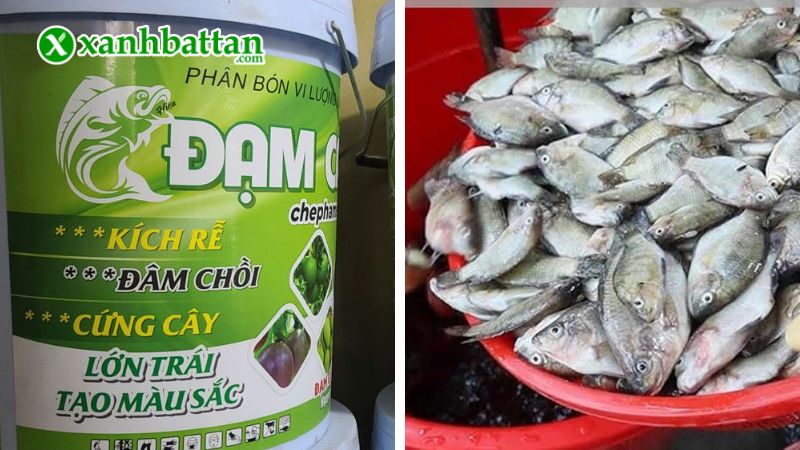 Phân đạm cá cô đặc bổ sung Amino và Humic 3 trong 1 là gì?