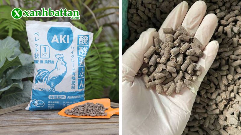 Phân gà Nhật Bản AKI Sfarm dạng viên nén là gì?