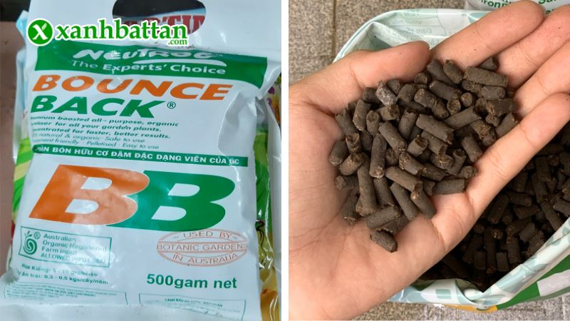Phân bón hữu cơ Bounce Back là gì?