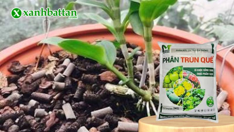 Phân bón hữu cơ trùn quế Lâm Mộc là gì?