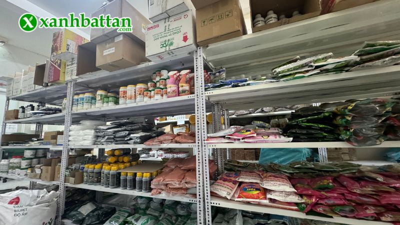 Xanh Bất Tận - Địa chỉ mua phân bón chăm sóc cây giá tốt tại TP.HCM?