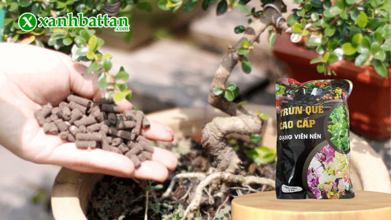 Phân trùn quế viên nén Lâm Mộc là gì?