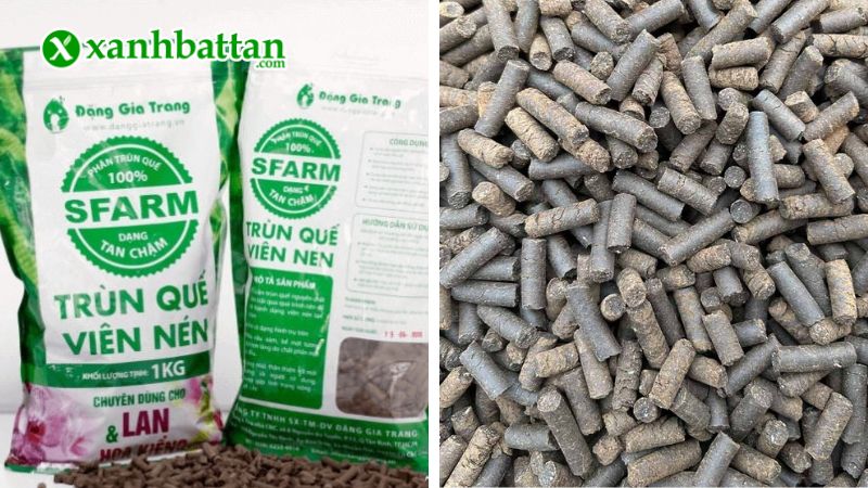 Phân trùn quế viên nén nguyên chất Sfarm là gì?