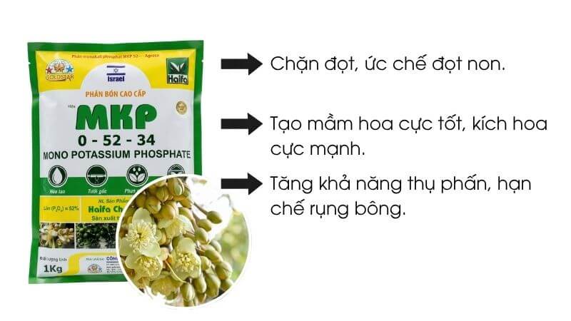 MKP siêu chặn đọt, làm già lá nhanh, ra hoa cực mạnh