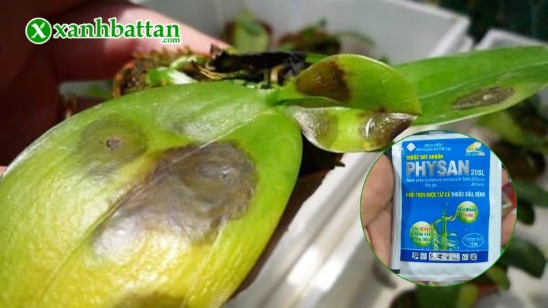 Hướng dẫn cách sử dụng và bảo quản sản phẩm Physan lạnh 20SL