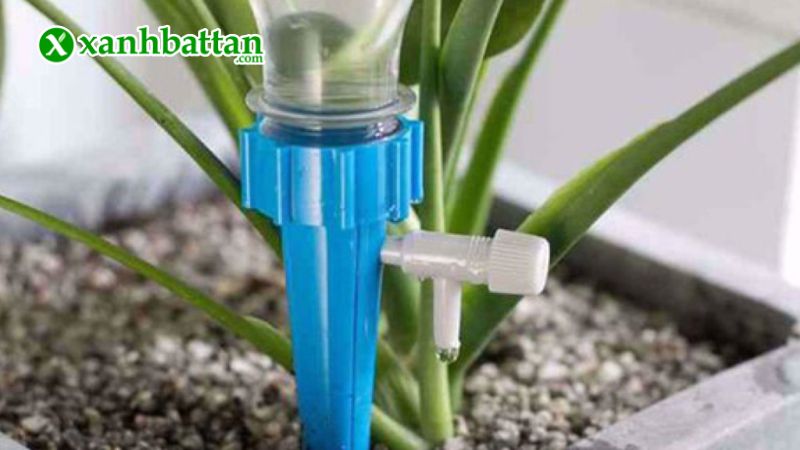 Hướng dẫn cách sử dụng, bảo quản van tưới cây tự động lắp vào chai nước