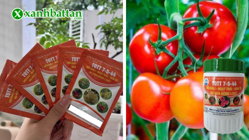 Hướng dẫn cách sử dụng, bảo quản siêu Kali TOTT 7-5-44 dưỡng hoa, dưỡng trái