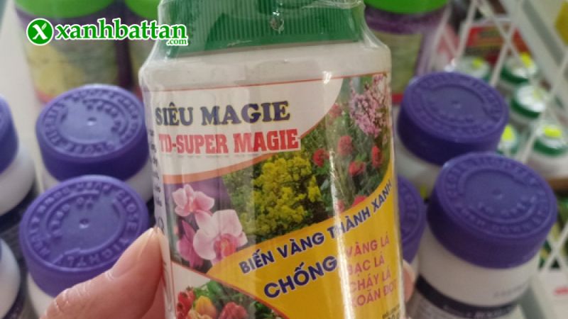 Hướng dẫn cách sử dụng, bảo quản siêu Magie chống vàng lá