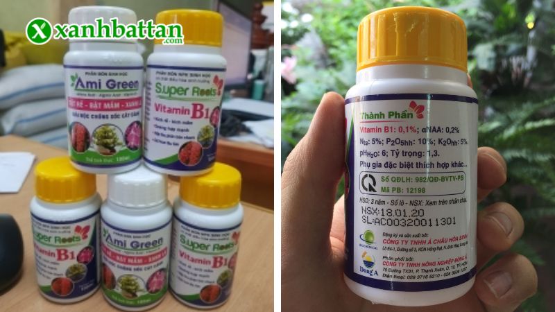 Super Root B1 - Kích rễ, kích mầm, dưỡng hoa là gì?